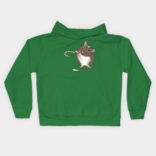 Cute brown gerbil with a candy cane Kids Hoodie